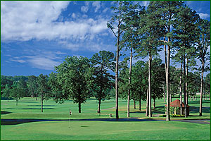 War Memorial Golf Course